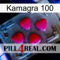 Kamagra 100 13